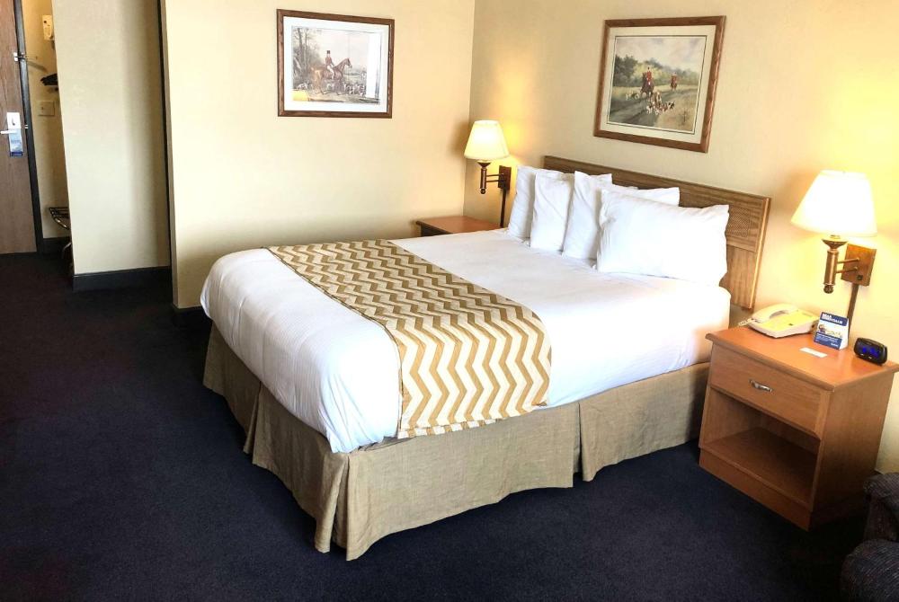 Deluxe King Suite - Non-Smoking interior